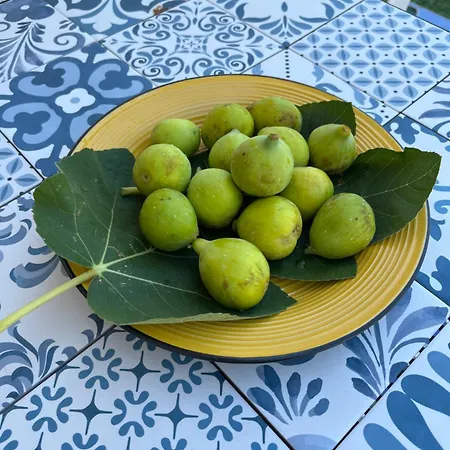 Appartement Agape Palinuro